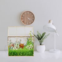 Maison jardin bureau décoration Air Planter Pot en verre Succulent maison en forme or noir verre géométrique plante Terrarium