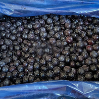 La Chine personnalisé congelé Iqf meilleurs bleuets sauvages biologiques Compliments bleuets surgelés