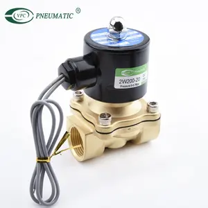 1/2 pollici 2W160-15 solenoide ad azione diretta a 2/2 vie DC12V 24V AC 220V elettrovalvola per acqua in ottone