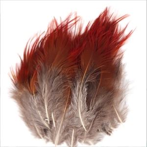 Plume de <span class=keywords><strong>faisan</strong></span> doré rouge de 4 à 8 cm pour les modèles de mouches sèches, nymphes et streamers, pour la pêche à la mouche en truite en ruisseau, lac, eau faiblement lumineuse et boueuse - Product Image 5