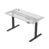 Bureau de jeu debout à moteur unique personnalisable Hauteur réglable Mobilier de bureau d'ordinateur pour bureau à domicile Produit en usine