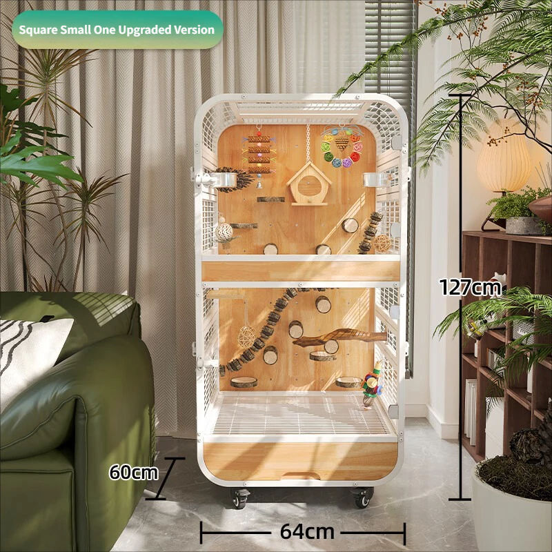 Testa Rotonda Piccolo Corno - Edizione Aggiornata