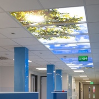 Lampu Panel LED Langit Biru Awan 3D Foto Gambar Ultra Tipis 595x595 60x60 36W 48W