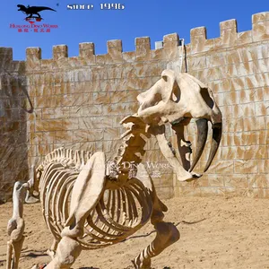 Museum Tentoonstelling Standaard Levensgrote Getande Tijger Fossiel Skelet