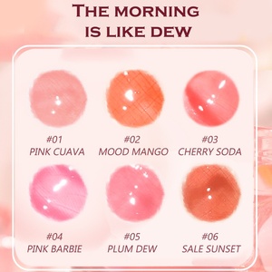 Brillo Labial Brillante de Larga Duración, Resistente al Agua, Antiadherente, Perlado, Brillo Labial de Marca Privada, Lápices Labiales Líquidos - Product Image 6