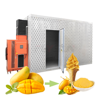 Ensemble complet d'équipements pour le lavage, le tranchage, le séchage et le pulvérisation des mangues, sécheuse à fruits entièrement automatique pour mangues