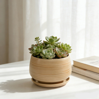 Pot de fleurs en céramique au design classique avec trou de drainage, rouge, décoration de bureau, plantes d'intérieur, succulentes, pots côtelés