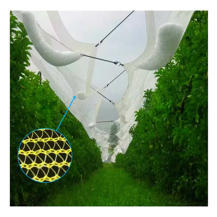 Filet de protection contre la grêle pour arbres fruitiers agricoles HDPE pour couverture contre la grêle
