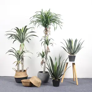 Nature Garden Cheap Artificial Sisalana Tree for Sale Anti UV Faux Sisal Hemp Plant