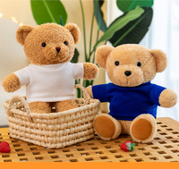 Ours en peluche en peluche avec logo personnalisé ours en peluche en vrac avec t-shirt jouets en peluche personnalisés