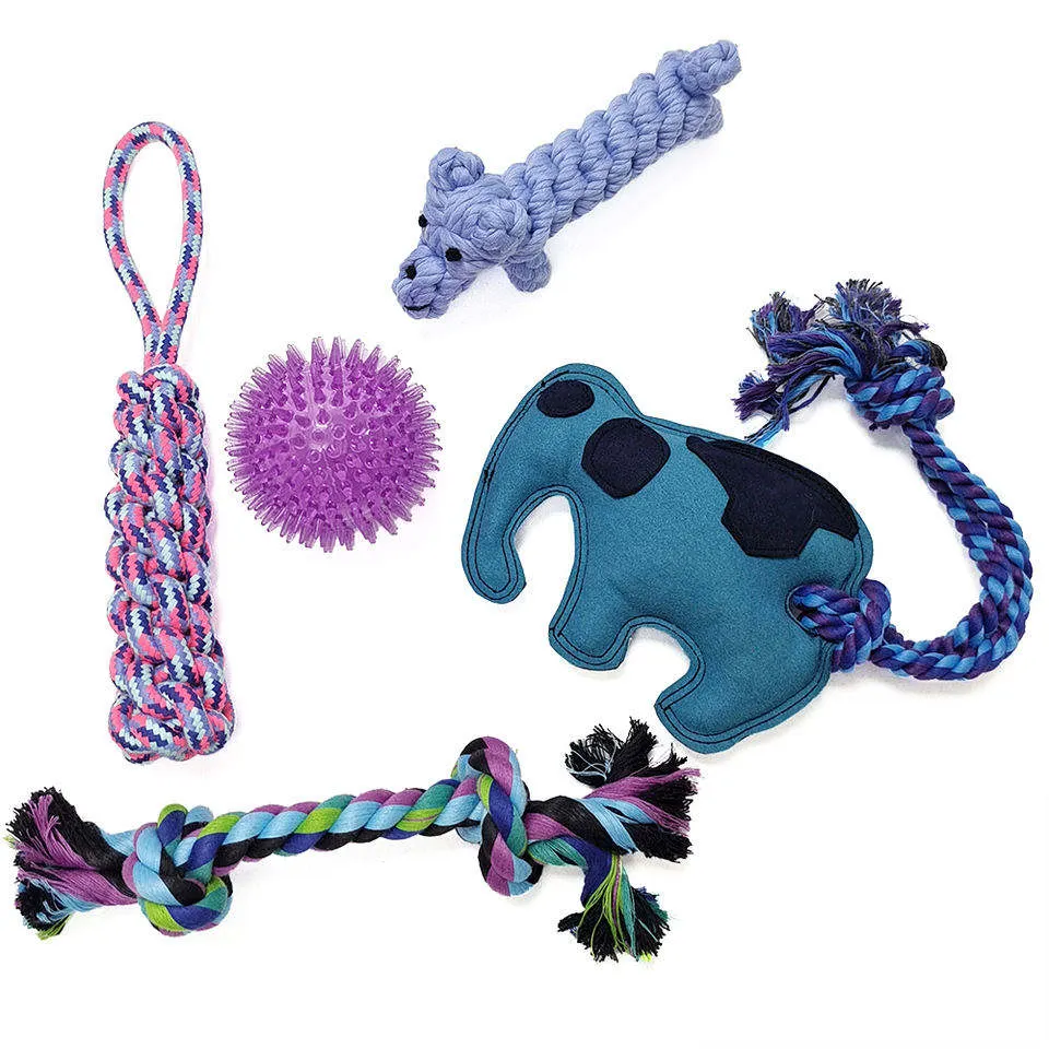 Groothandel Onverwoestbaar Duurzaam Huisdier Interactieve Speelgoed Niet Giftig Paars Lederen Olifant Vijf Stuk Pet Dog Chew Toy Set