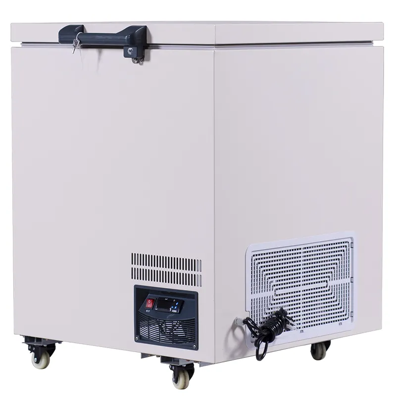 Vendita in fabbrica 68L Mini congelatore orizzontale per uso domestico frigorifero a bassissima temperatura