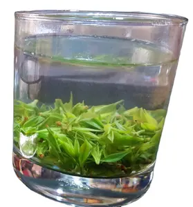 Detox tea bulk loose natural oem bitter kuding herbal tea kudding herbal tea for weight loss