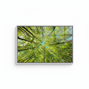Elegant Tempered Glass Tree Canopy <b>Canvas</b> Print - Personalized Wall Art,WHITE <b>FRAMED</b> <b>CANVAS</b> - Product Image 2