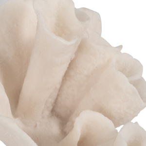 Scultura in Resina Ispirata ai Coralli, Ornamento Decorativo per Casa, Bagno, Soggiorno, Scaffale, Ufficio - Product Image 5