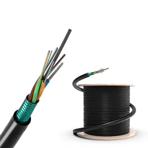 Outdoor Armoured 12 Core Fiber Optic Cable Underground Duct OFC Fiber Optic Cable GYTS