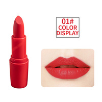 Gros Cosmétique Rouge À Lèvres Mat Bullet Laque Tube Spécial Étanche Brillant À Lèvres rouge à lèvres mat 24 heures