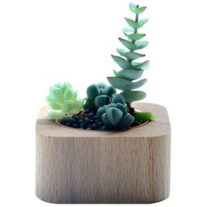 Stile nordico decorazione per la casa personalità creativo noce nero massello di legno carnoso vaso di fiori - Product Image 2