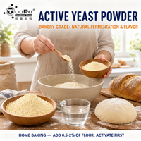 High Sugar Fermentation ≥500mL/h Active Yeast Powder Supply Rich Flavor for Bakery and Chinese Steamed Food Production