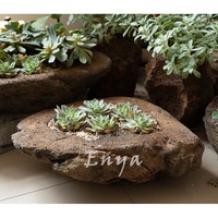 Grand bol en pierre de fonte, succulente, irrégulière, Lavastone, ornements de jardin, jardinière japonaise Zen, Pot de fleurs de bonsaï peu profondes