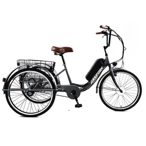 24 इंच कार्गो इलेक्ट्रिक बाइक 36V 250W इलेक्ट्रिक साइकिल