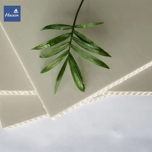 <span class=keywords><strong>Coffrage</strong></span> en plastique PP haute résistance, spécial pour le coulage <span class=keywords><strong>de</strong></span> béton à grande surface - Product Image 6