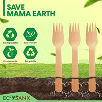 Lot de 120 fourchettes en bois, 6,3 pouces (environ) Fourchettes compostables sans éclats (16,0 cm), ensemble de couverts en bois écologiques pour les fêtes