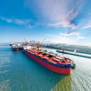 Containerleverancier Kost China Naar Uk/Frankrijk/Duitsland/Polen/Europa