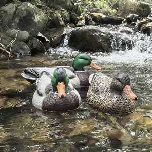Señuelo de Pato Mallard de Plástico con Recubrimiento Flocado de Grado de Caza, Tipo Flotante, para Decoración de Jardín o Lago - Product Image 4