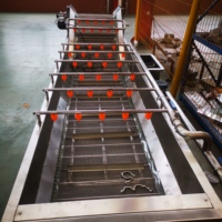 Multifunctionele commerciële bubbelwasmachine voor het verwijderen van modder, pesticidenresten, groenten, fruit, vis en zeevruchten