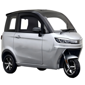 Tricycle électrique fermé avec cabine, <span class=keywords><strong>scooter</strong></span> électrique à <span class=keywords><strong>3</strong></span> <span class=keywords><strong>roues</strong></span>, mobilité, vitesse de 25 km/h, pour personnes âgées, pas besoin de <span class=keywords><strong>permis</strong></span> de conduire - Product Image 5