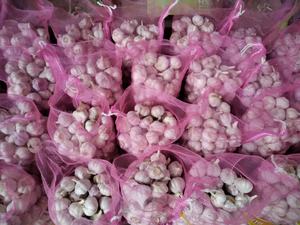 Ajo Verde Puro Blanco Normal Blanco Encurtido Verduras Chinas Venta al por mayor Suministro de Ajo Fresco - Product Image 4