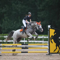 Équipement de saut d'obstacles en bois pour chevaux, ensemble de poteaux et d'ailes pour le saut d'obstacles équestres