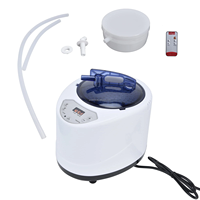 Générateur de vapeur électrique moderne 3L avec panneau de commande, grande capacité, vapeur humide pour villas, baignoires, salles de sauna, tentes de sauna
