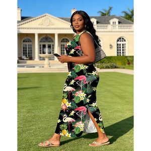 Vestido Maxi de Verano para Mujer, Talla Grande, Sin Mangas, Cuello en V, Holgado, de Gasa, con Estampado Floral de Flamencos, Vestido de Playa con Bolsillos - Product Image 3