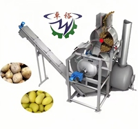 Grote Capaciteit Stoompeeling Hydro Snijden Bevroren Frietjes Machine Aardappelchips Productie En Verwerkingslijn