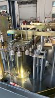 Máquina Sopladora de Botellas PET Automática de Dos Cavidades RC-2A con Componentes Centrales PLC y Válvula de Alta Presión AirTac, Precio de Fábrica
