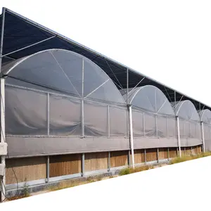 Multi-span Greenhouses Plastic Film Vegetable greenhouse plant tomato