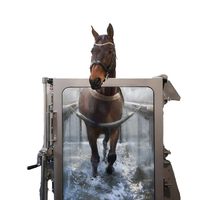 Tapis roulant pour chevaux EUR PET en acier inoxydable réutilisable, moderne, tapis roulant sous-marin, exercice aquatique en plein air pour chevaux