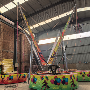 Trong Nhà Và Ngoài Trời Tập Thể Dục Nhà Máy Giá Bán Buôn, Trẻ Em Và Người Lớn Bốn Trong Một <span class=keywords><strong>Bungee</strong></span> Nhảy Dây Thừng Và Khai Thác - Product Image 4