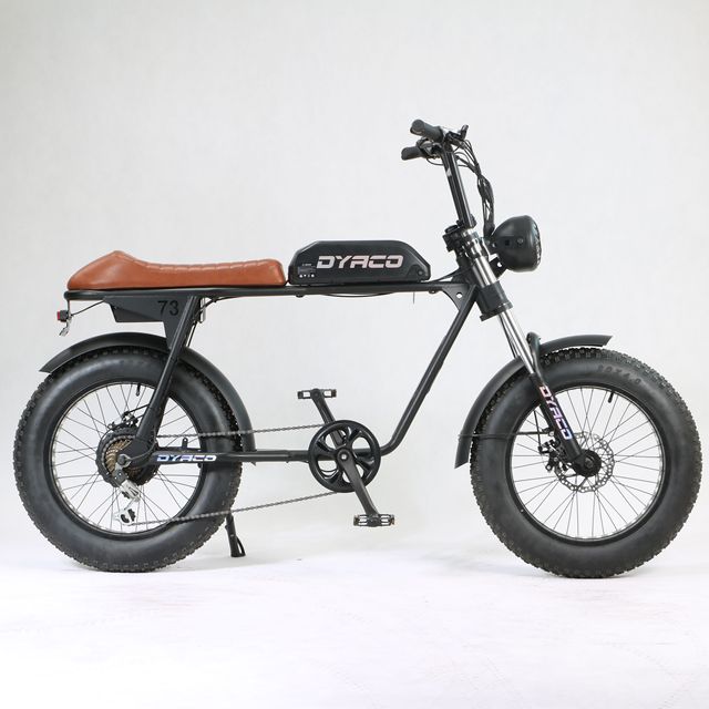 Factory Sport Snow Lithium Electric BICYCLE 7 Speed 20'' INCH Full Suspension Adults Mountain Bike