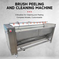 Machine à laver et à éplucher le curcuma, Laveuse et éplucheuse de pommes de terre, Machine à laver le manioc, Laveuse de pommes de terre, Nettoyeur de fruits
