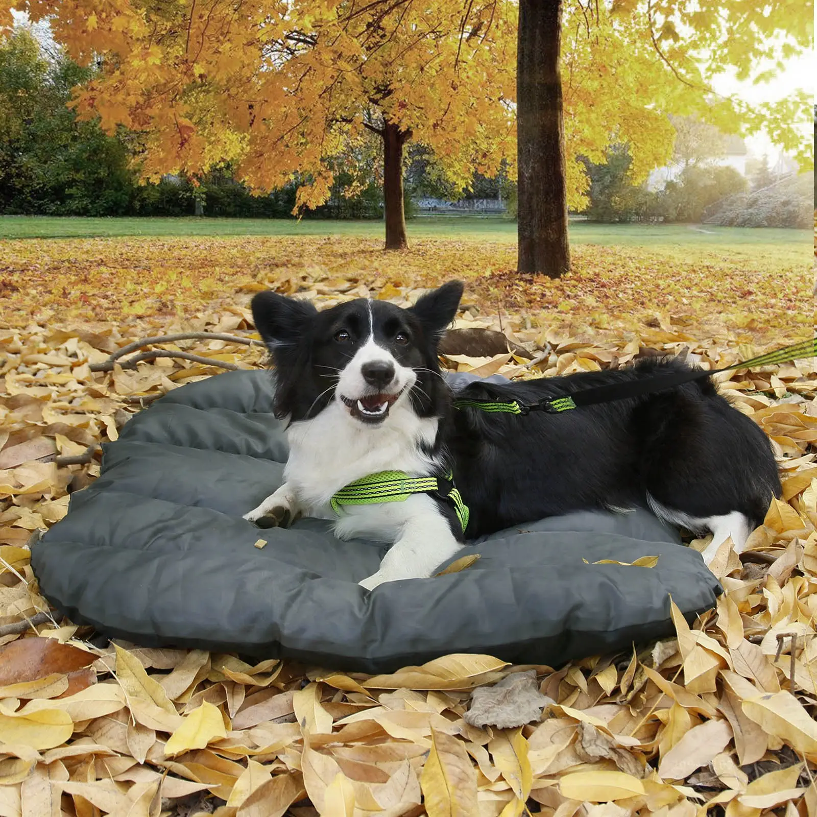 Fabricante atacado Hot Sale durável quente lavável impermeável dobrável camping ao ar livre viagem pet dog colchão cama mat
