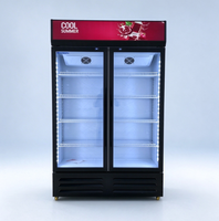 Réfrigérateur de présentation de boissons à refroidissement par ventilateur, avec serrure à clé, éclairage LED, logo personnalisé, couleur et ambiance lumineuse, refroidissement par air pour café et boutique