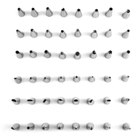 Set Professionnel de 50 Douilles à Pâtisserie pour Glaçage, Embouts de Décoration de Gâteaux, Outil Moulé en Matériau PC pour la Pâtisserie