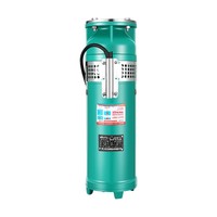 Pompes de fontaine submersibles électriques QSP en acier inoxydable 304, 380V, 7,5 CV, OEM, haute pression, haut débit, pour aménagement paysager et rocaille