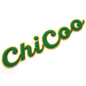 Chi Eta <strong>Phi</strong> Sorority Patch Green Chicoo Bling Sequin Patches in Greek <strong>Letters</strong> 1932 Year - Product Image 4