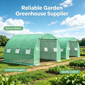 Invernadero Agrícola de Polietileno de Una Sola Capa para Cultivo de Vegetales - Product Image 4