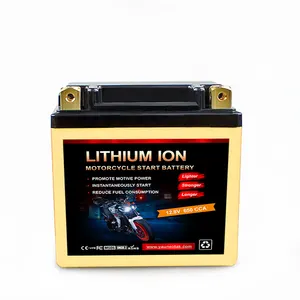 Batterie de moto au lithium 5L-BS 12.8V 2Ah Yauneidak-Yamaha XT 600 KN - 1991-1995-Support de personnalisation de moto