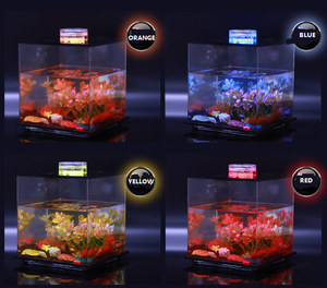 LED สแควร์อะคริลิคตู้ปลาโต๊ะมุมมองไมโครดูตู้<span class=keywords><strong>ปลาทอง</strong></span>ขนาดเล็กห้องนั่งเล่นพร้อมตู้เต่าแสง - Product Image 6